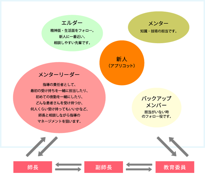 サポートチームを組んで担当する画像